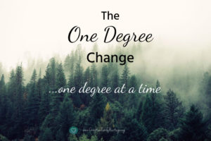 One degree